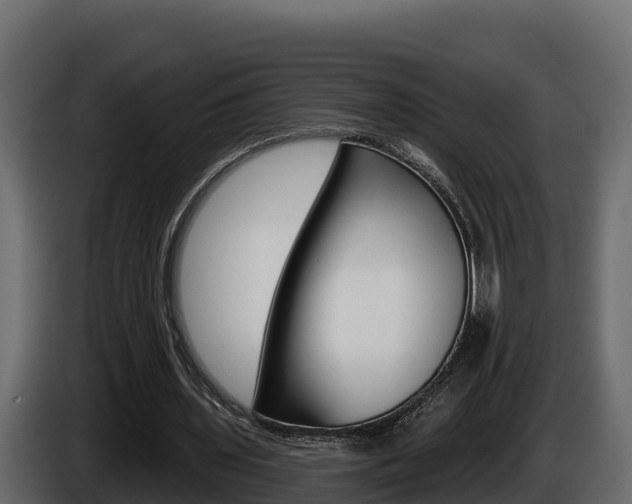 X0000086020435200703230936