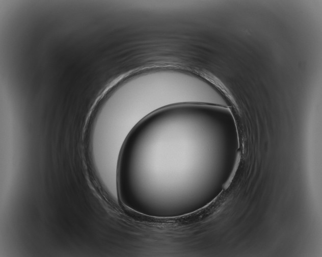 X0000086020436200703230936