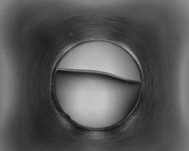 X0000086020437200703230936