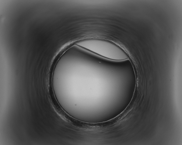 X0000086020438200703230936