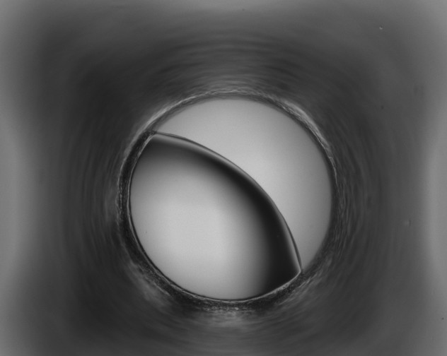 X0000086020439200703230936