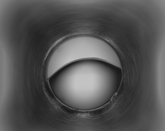 X0000086020440200703230936