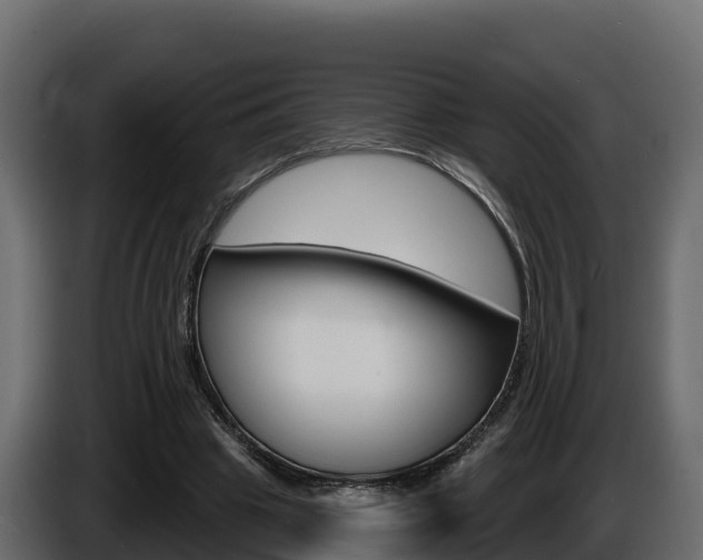 X0000086020441200703230936