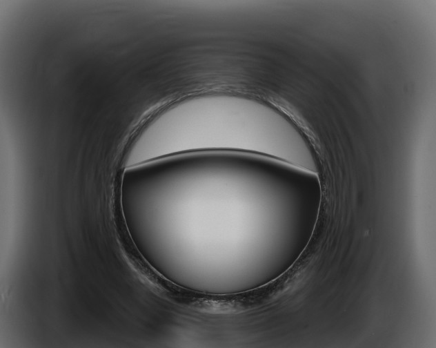 X0000086020442200703230936