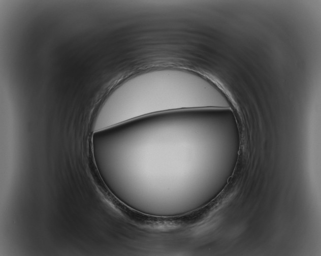X0000086020445200703230936
