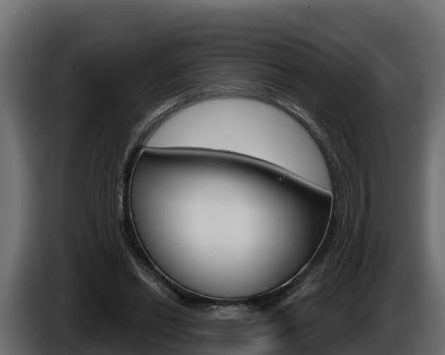 X0000086020446200703230936