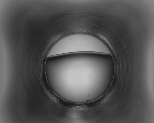 X0000086020447200703230936