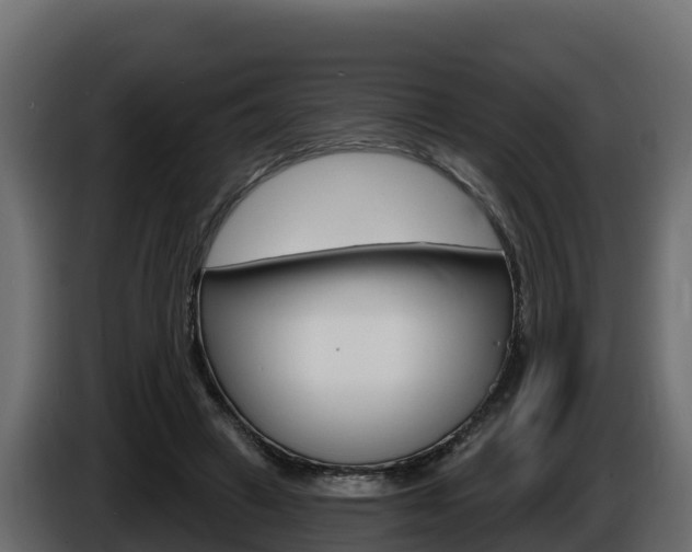 X0000086020449200703230936