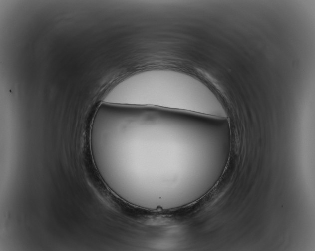 X0000086020451200703230936