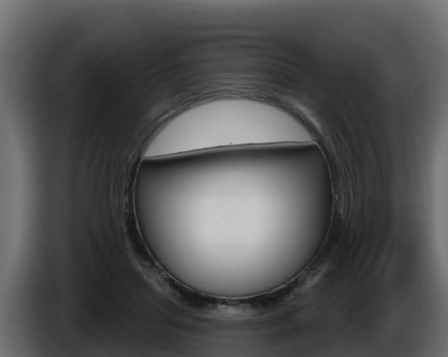 X0000086020455200703230936
