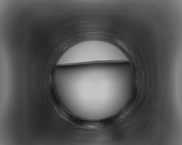 X0000086020459200703230936