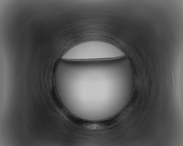 X0000086020460200703230936