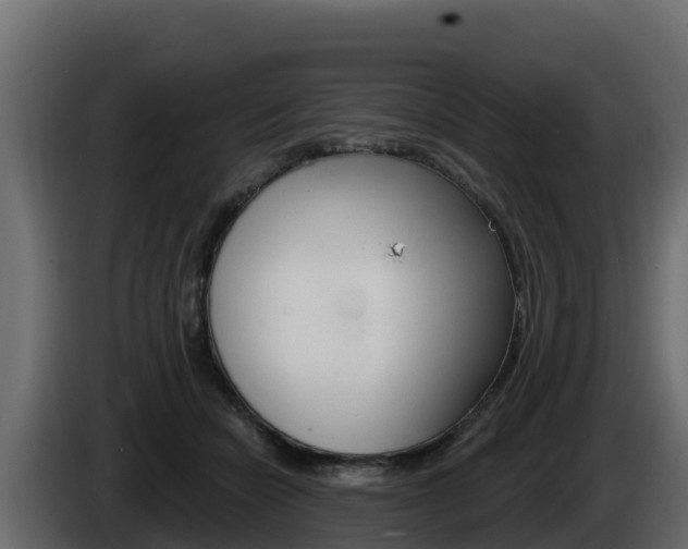 X0000086020462200703230936