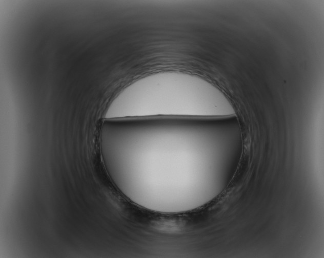 X0000086020464200703230936