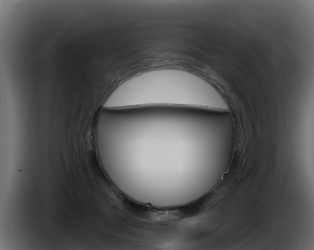 X0000086020465200703230936