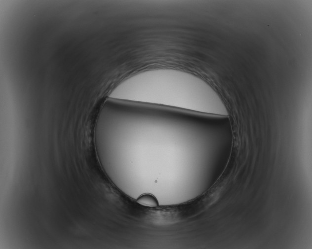 X0000086020466200703230936
