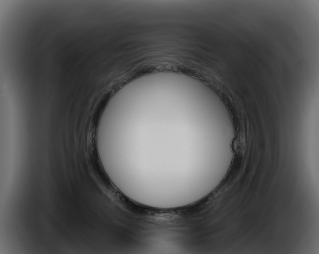 X0000086020468200703230936