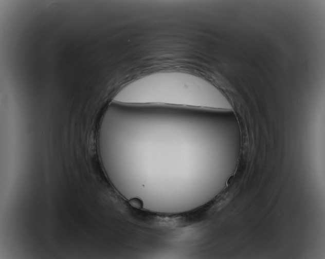 X0000086020469200703230936