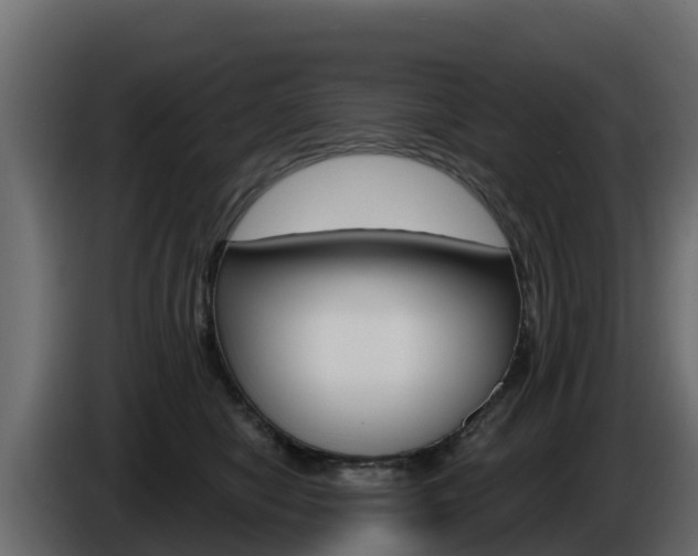 X0000086020470200703230936