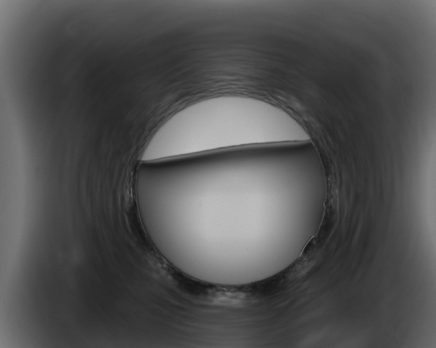 X0000086020471200703230936