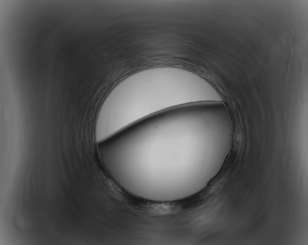 X0000086020473200703230936