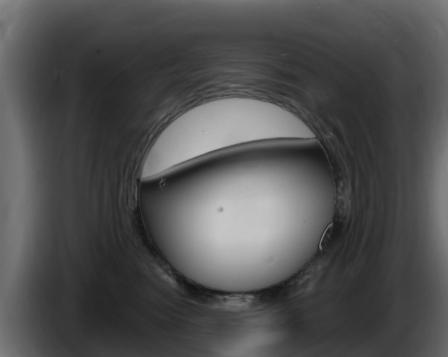X0000086020474200703230936