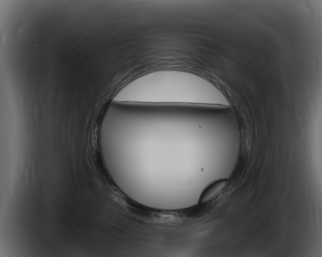 X0000086020475200703230936
