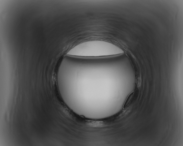 X0000086020476200703230936