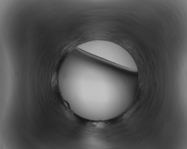 X0000086020478200703230937