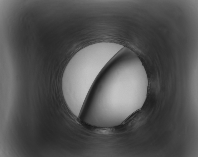 X0000086020479200703230937