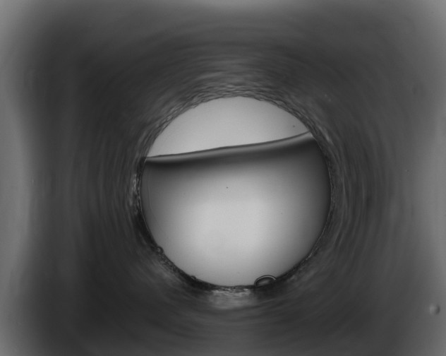 X0000086020480200703230937
