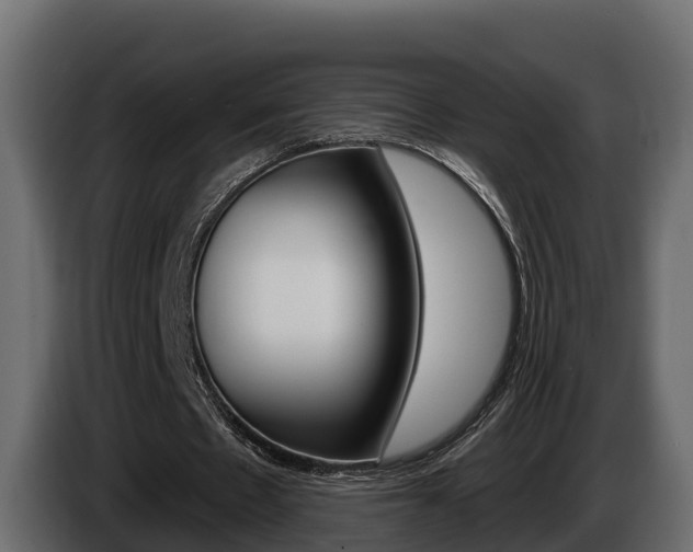 X0000086020481200703230936