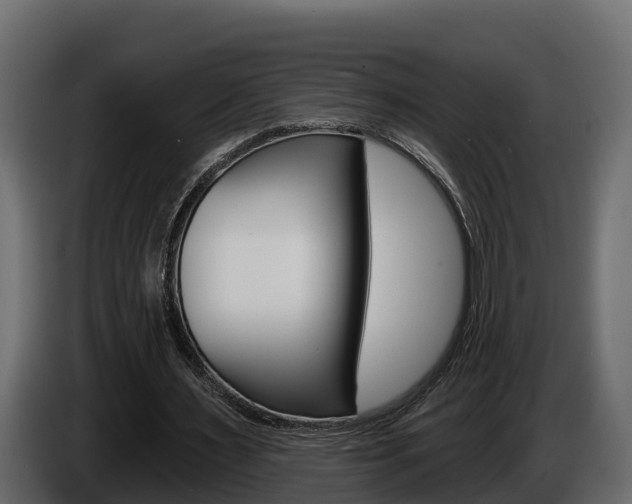 X0000086020483200703230936
