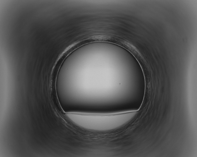 X0000086020484200703230936