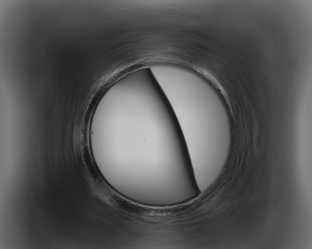 X0000086020487200703230936