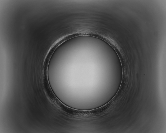 X0000086020488200703230936