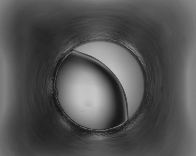 X0000086020489200703230936