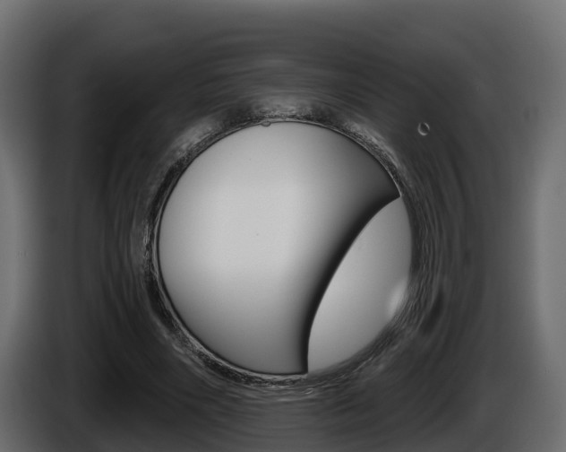 X0000086020490200703230936