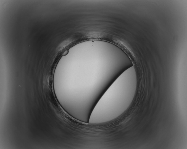 X0000086020491200703230936