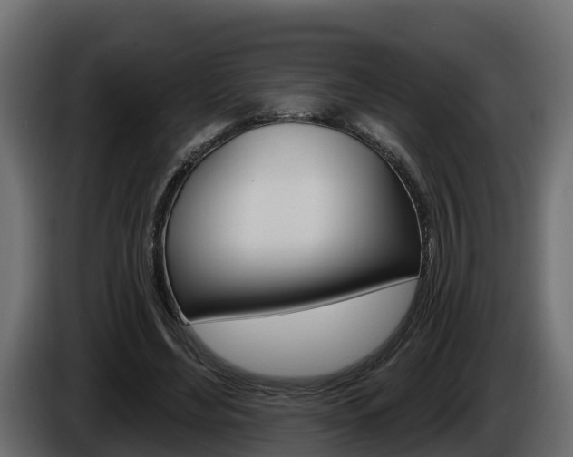 X0000086020492200703230936