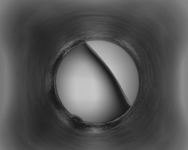 X0000086020496200703230936