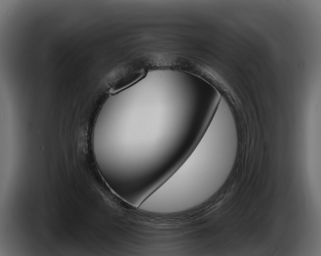 X0000086020497200703230936