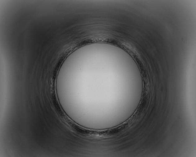 X0000086020498200703230936