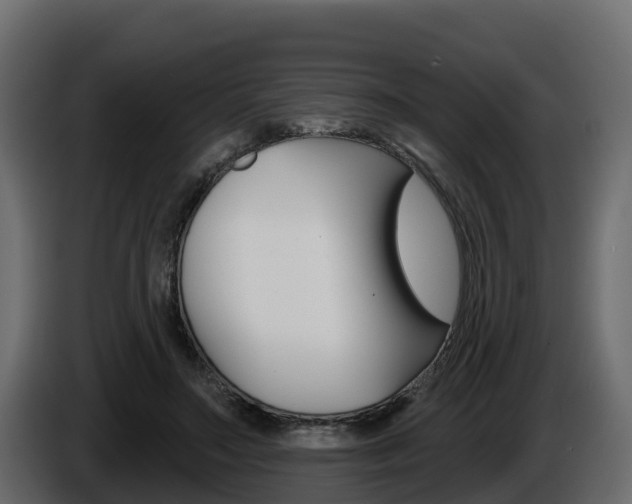 X0000086020499200703230936