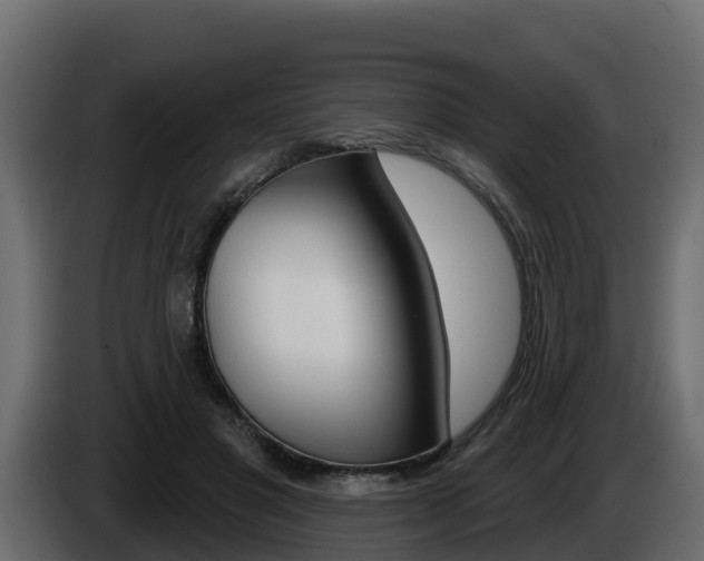 X0000086020501200703230936