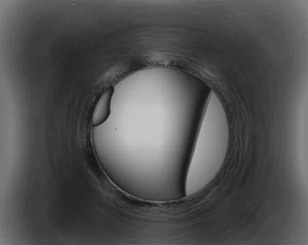 X0000086020504200703230936