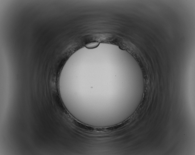 X0000086020510200703230935