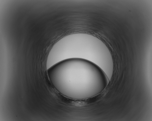 X0000086020512200703230935