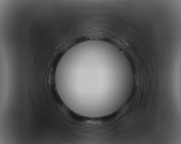 X0000086020515200703230935