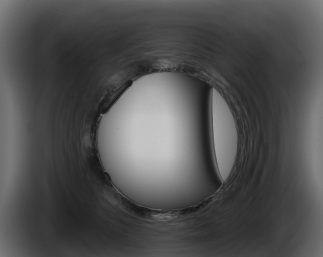X0000086020516200703230935